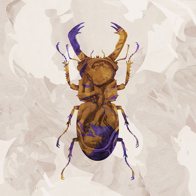 Insect Royalty