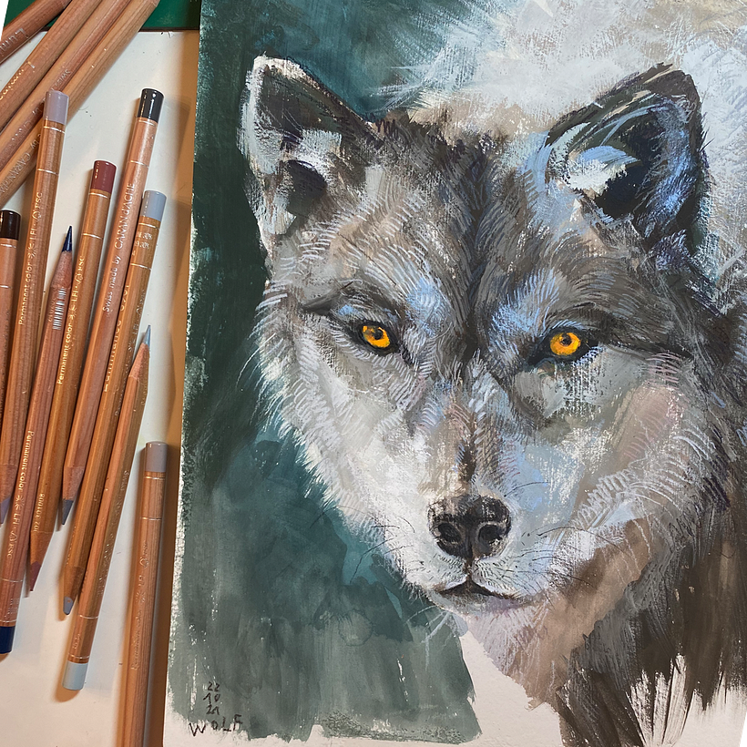 Day 22 / wolf (for Adam)