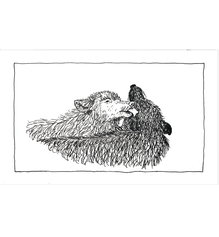 DAY 22: WOLF (pen & ink)