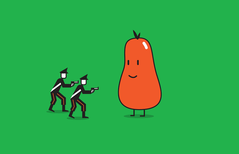 Food Chains 5