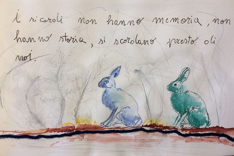 i conigli sono ricordi