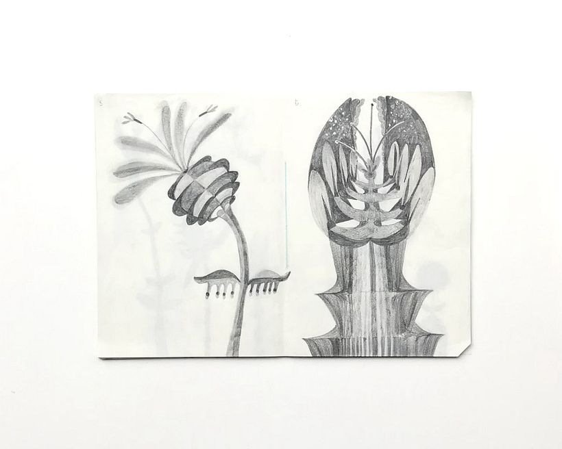 Pencil drawings of imaginary plants using graphic elements noted in woodland studies.