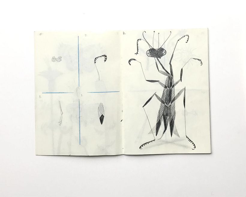 Pencil drawing of imaginary insect using graphic elements drawn on left page.