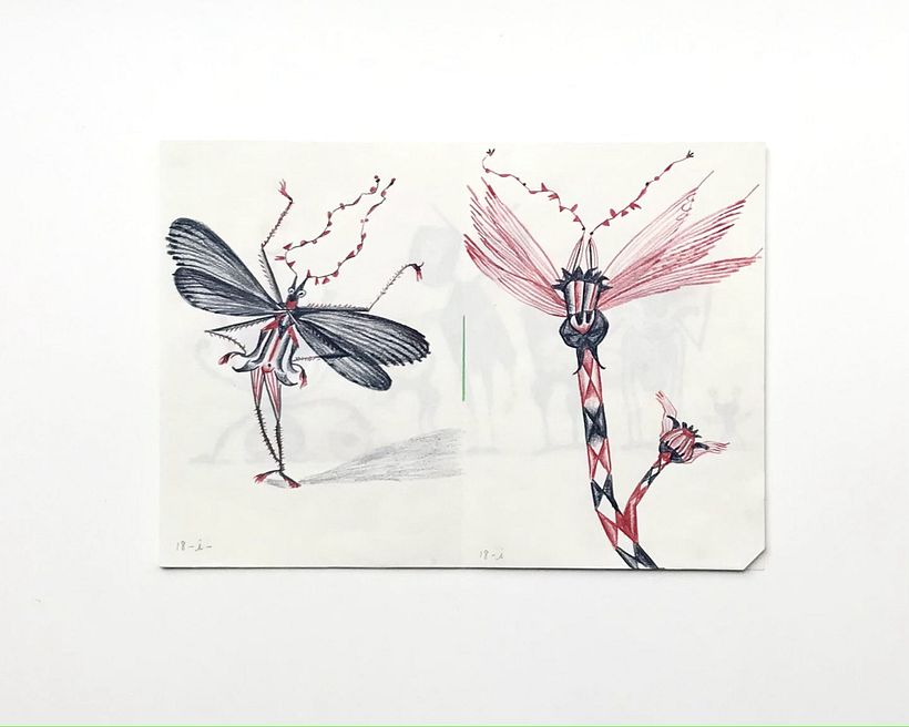 Drawings referencing the same graphic elements in both characters.