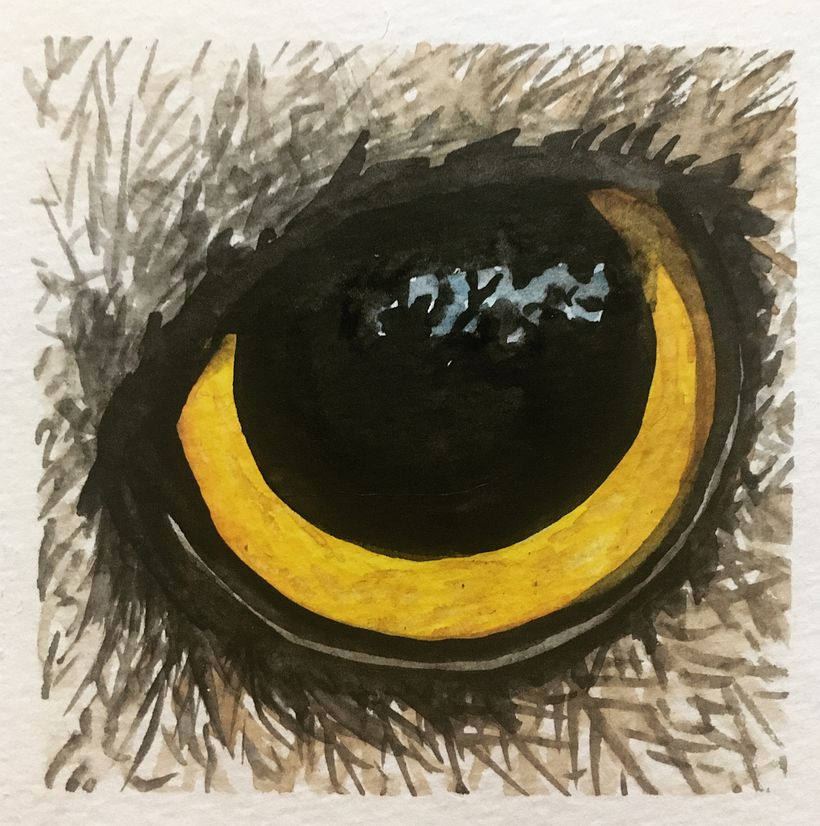 Day 23 - eye