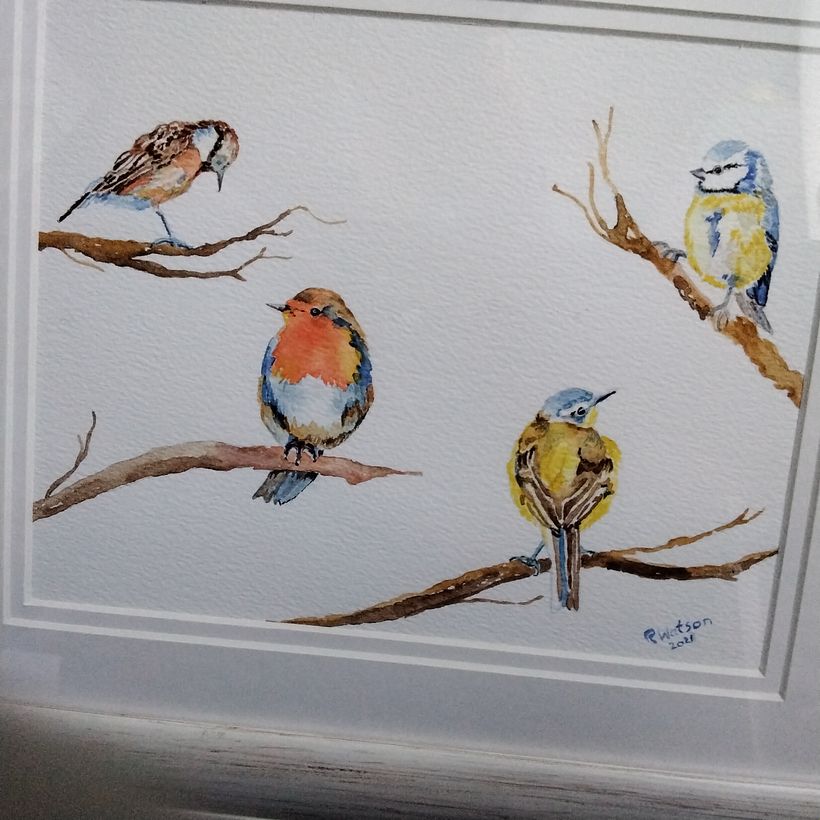My project in Artistic Watercolor Techniques for Illustrating Birds course 1
