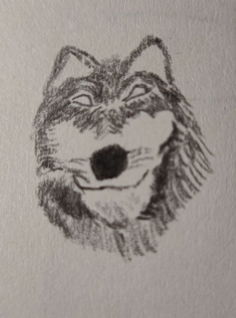 22. Lobo