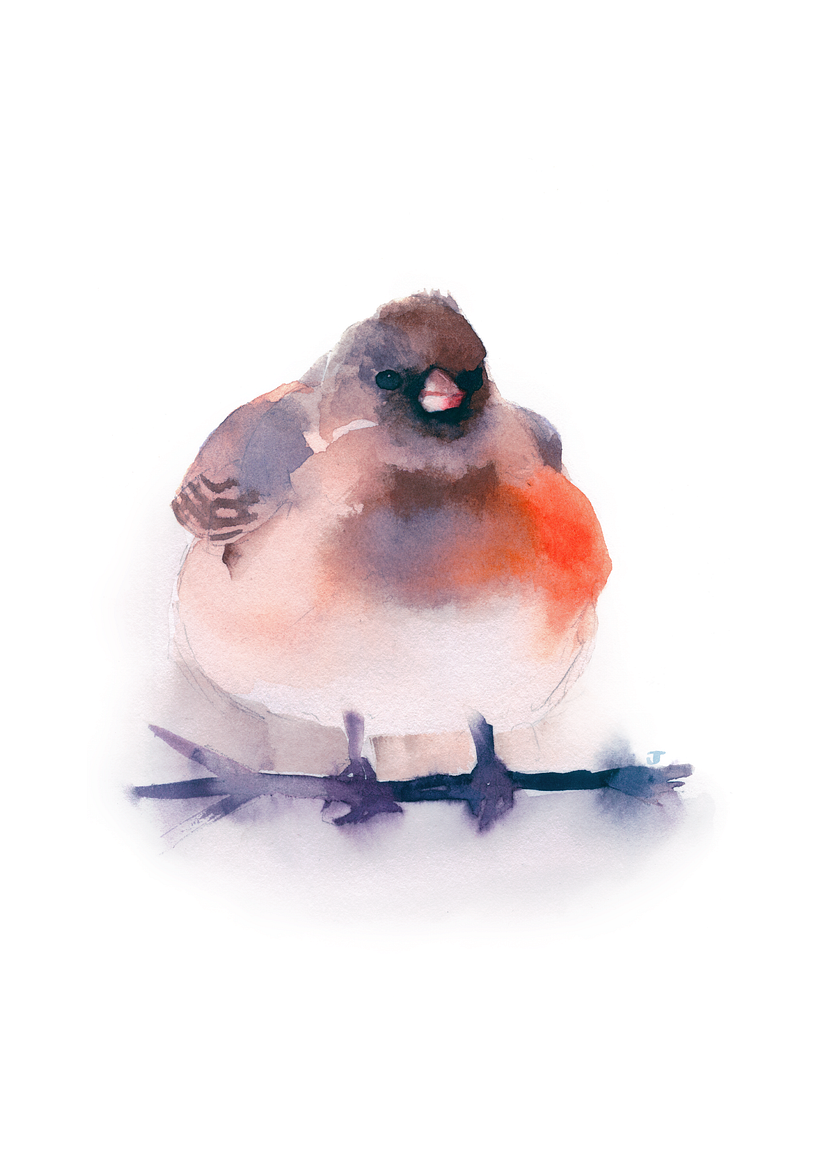 Fluffy Birds 6