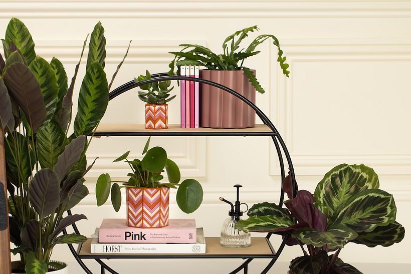 Spring '21 Collection 2