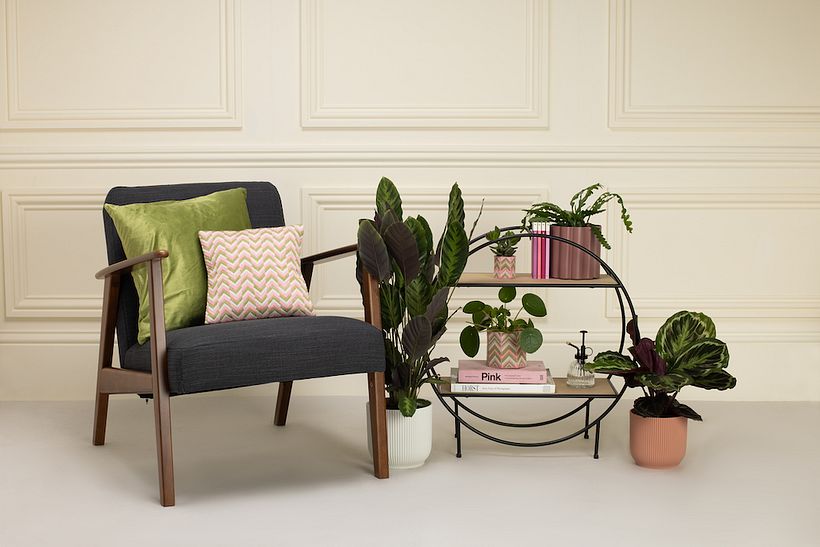 Spring '21 Collection 5