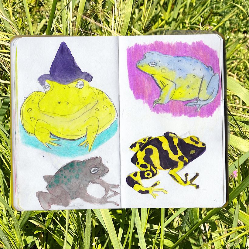 Frogs in my sketchbook 1