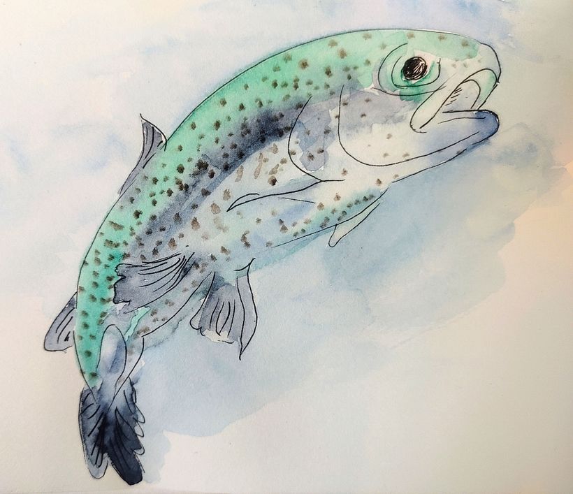 Ganz frischer Fisch! 2
