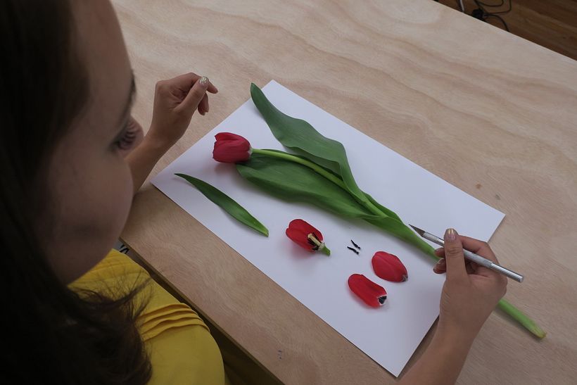 Paulina Maciel en plena disección de un tulipán.