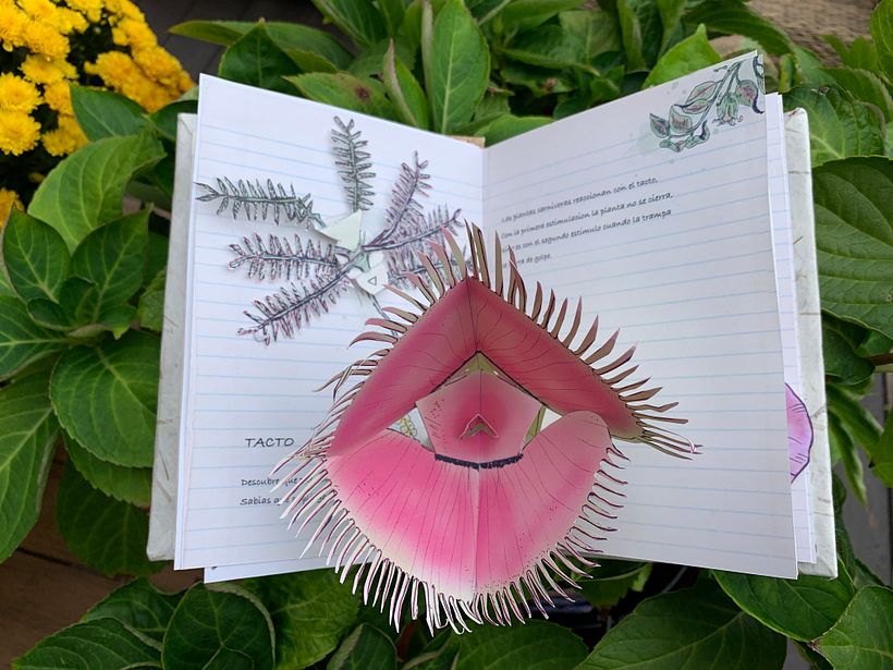 My project in Interactive Pop-up Books: Create a Paper World course 6