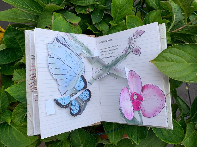 My project in Interactive Pop-up Books: Create a Paper World course 7