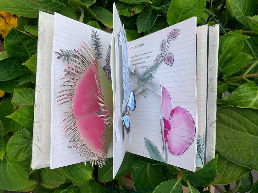 My project in Interactive Pop-up Books: Create a Paper World course 2