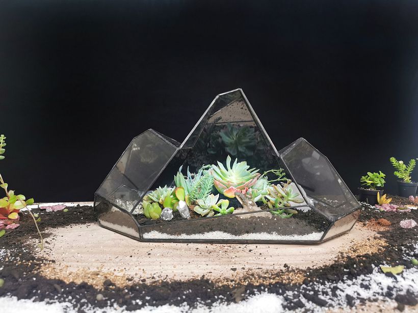 Terrario montaña  1