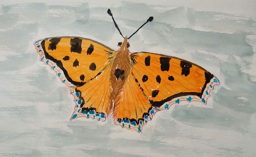 Day 26 Extinct. Large tortoiseshell butterfly, became extinct in the UK in the 1960s.