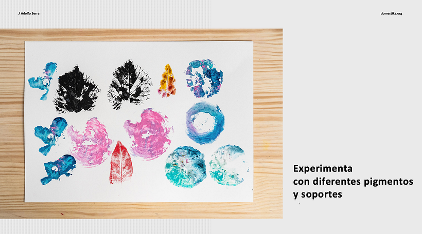 Así luce la aplicación vegetal y colorida de la técnica japonesa en la guía de Adolfo.