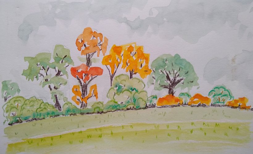 Day 27 Skyline. So grateful our skylines are trees, not houses!