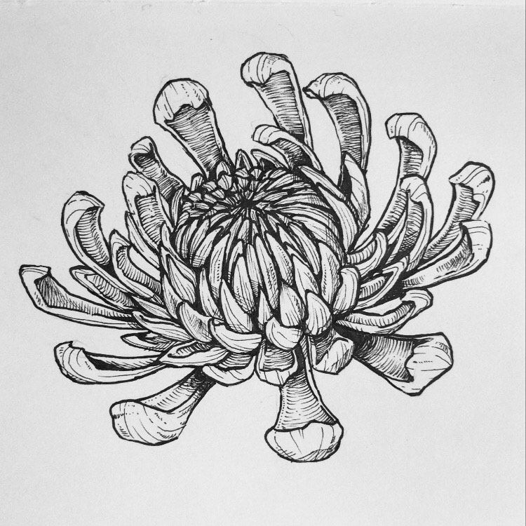 Mi Proyecto del curso: Sketching diario como inspiración creativa 3
