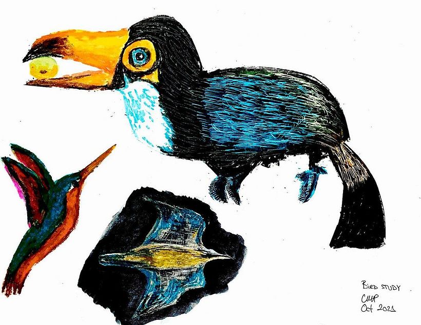 My project in Illustration Techniques to Unlock your Creativity course 3