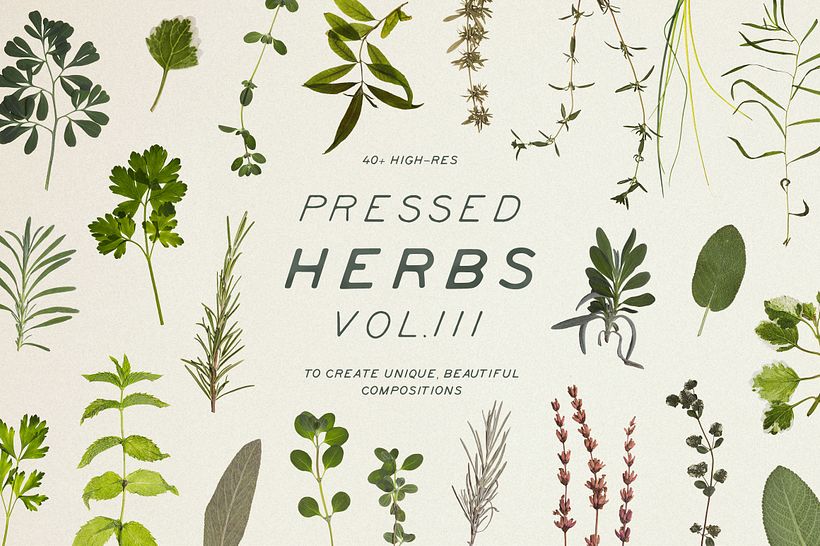 Pressed and Dry Herbs VOL3 2