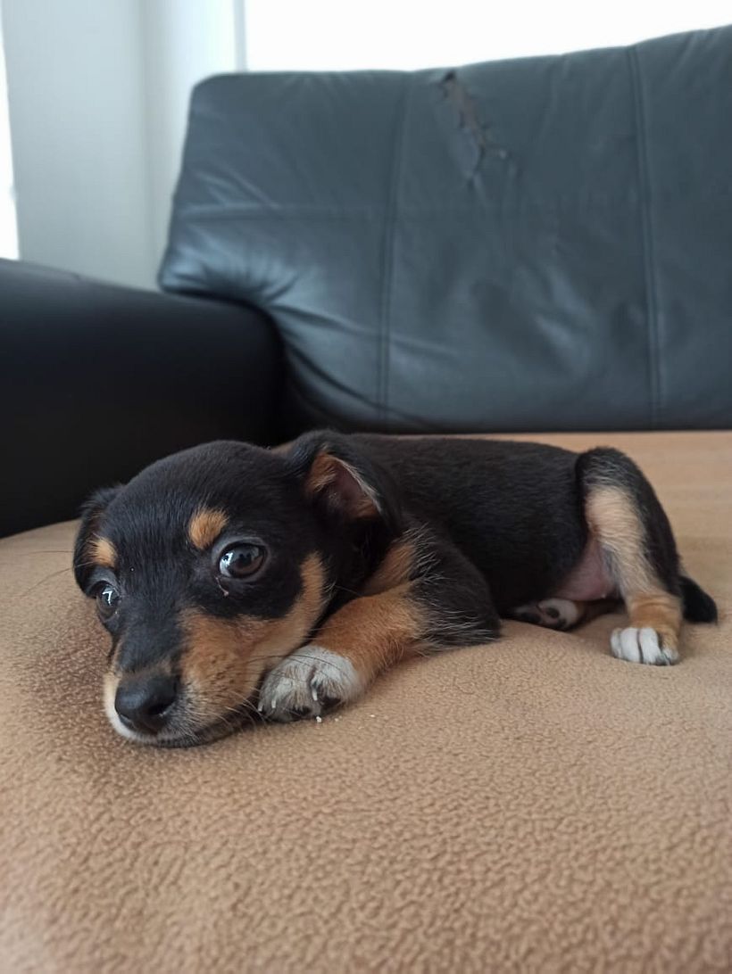 Mi Proyecto del curso: Fotografía lifestyle: de tu móvil a Instagram 2