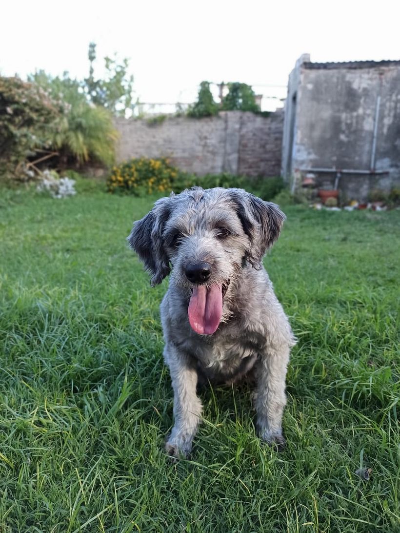 Mi Proyecto del curso: Fotografía lifestyle: de tu móvil a Instagram 3