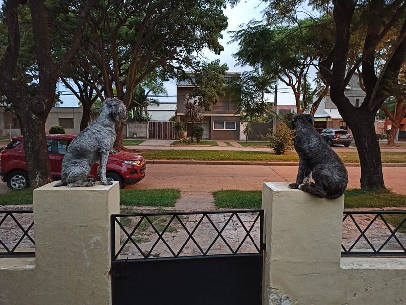 Mi Proyecto del curso: Fotografía lifestyle: de tu móvil a Instagram 4