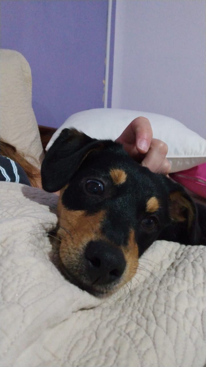 Mi Proyecto del curso: Fotografía lifestyle: de tu móvil a Instagram 5