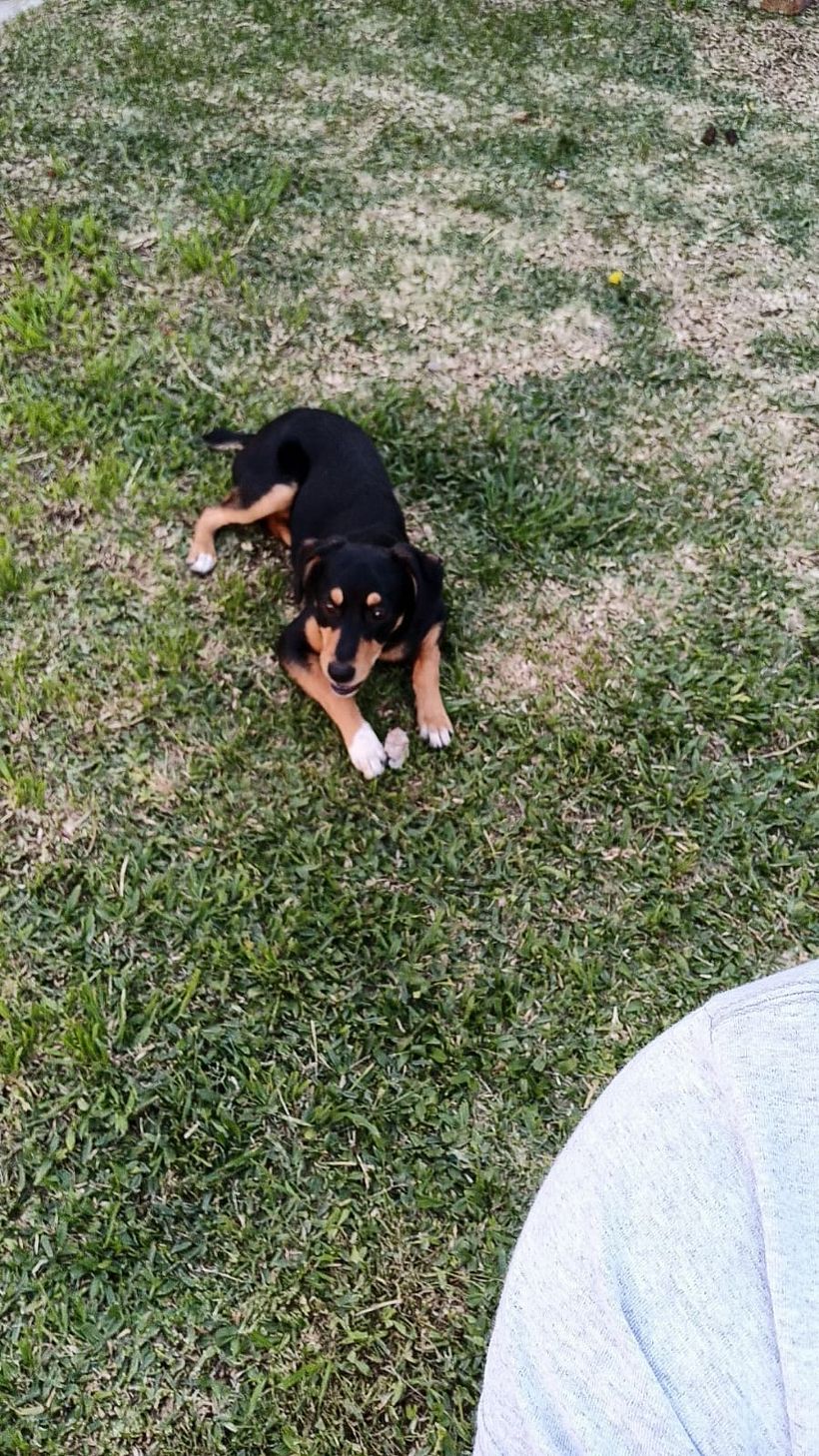 Mi Proyecto del curso: Fotografía lifestyle: de tu móvil a Instagram 6