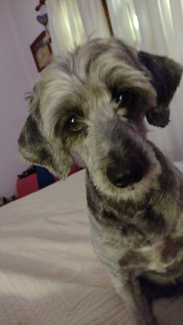 Mi Proyecto del curso: Fotografía lifestyle: de tu móvil a Instagram 7