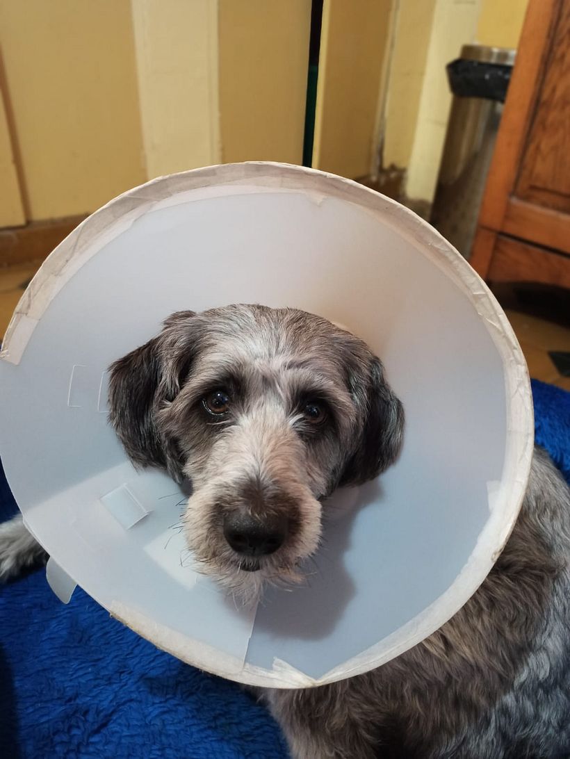 Mi Proyecto del curso: Fotografía lifestyle: de tu móvil a Instagram 8