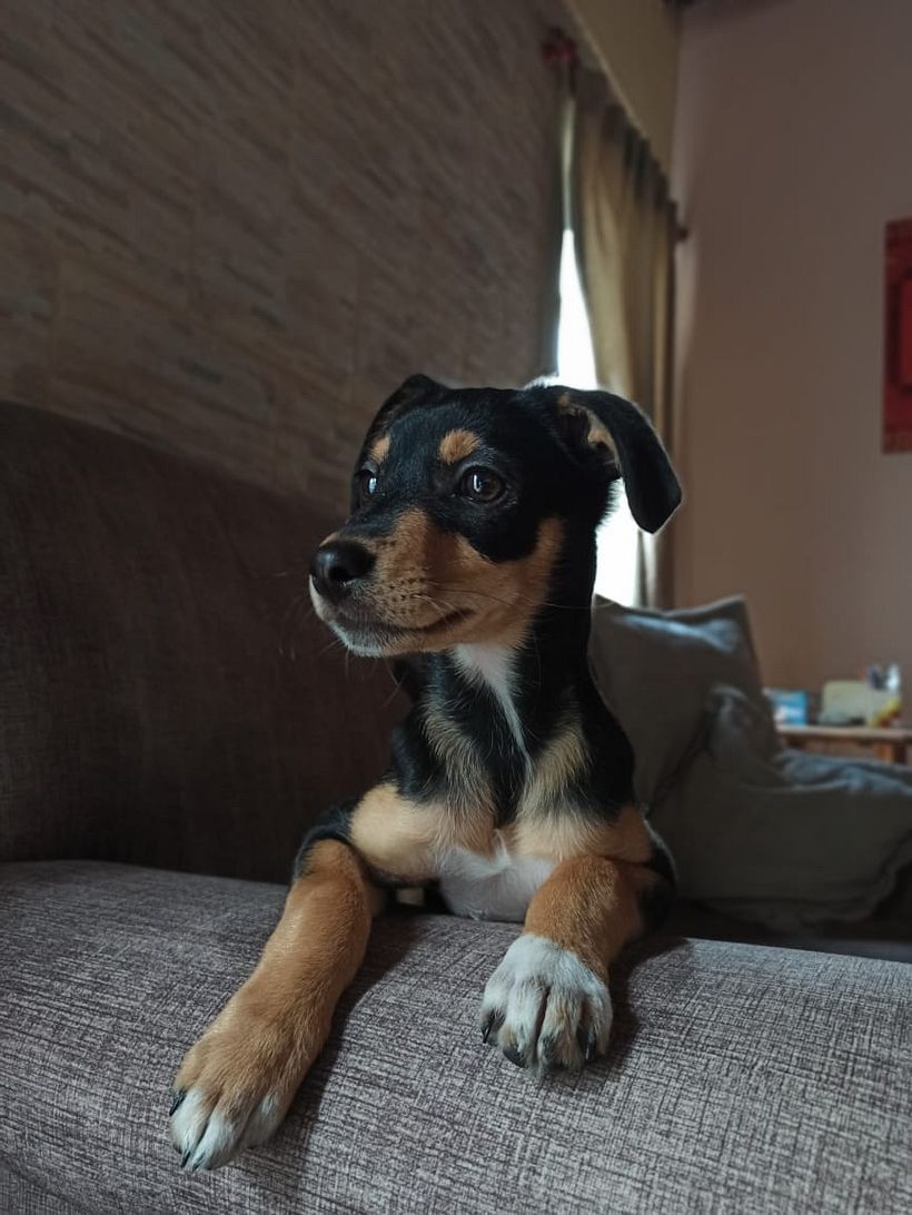 Mi Proyecto del curso: Fotografía lifestyle: de tu móvil a Instagram 9