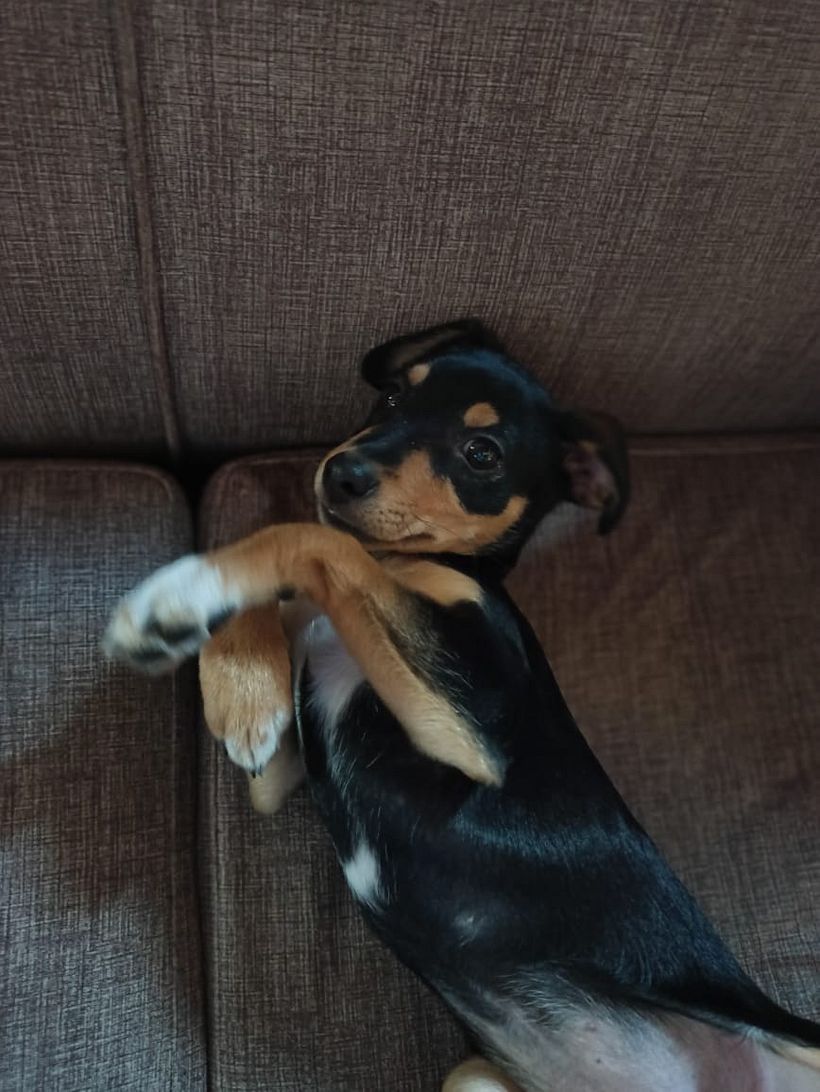 Mi Proyecto del curso: Fotografía lifestyle: de tu móvil a Instagram 10