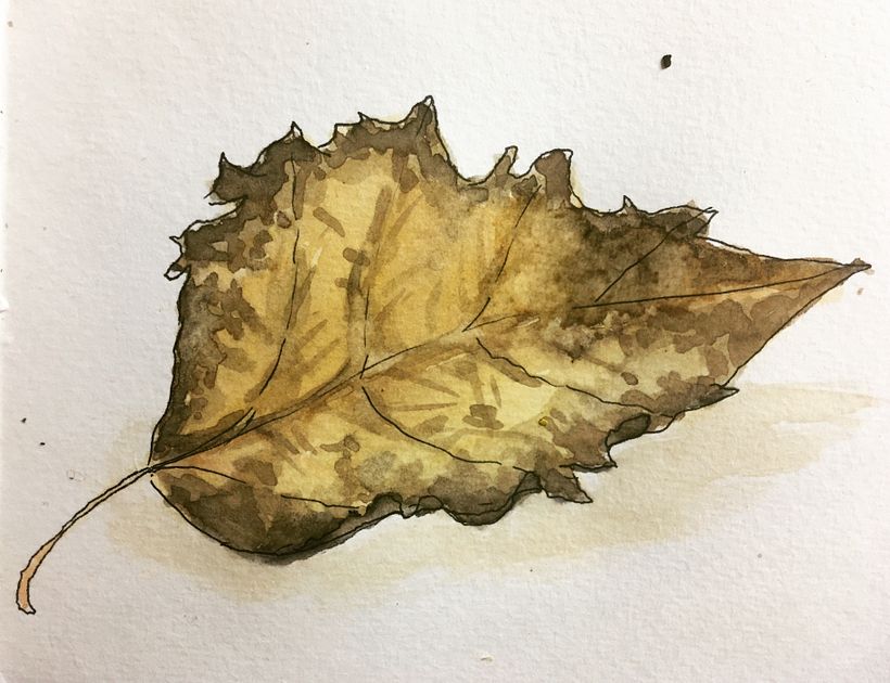 Day 28  - leaf