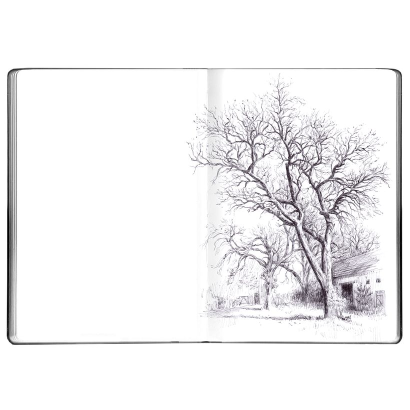 Day 29 - Autumn / Outono