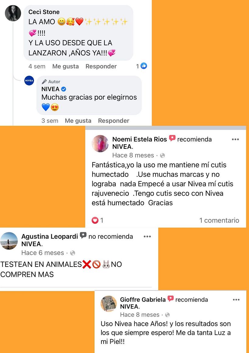 Mi Proyecto del curso: Introducción al community management 12