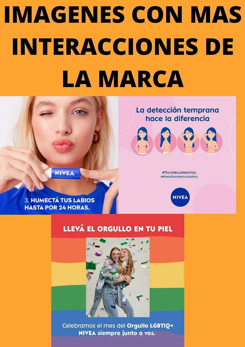 Mi Proyecto del curso: Introducción al community management 13