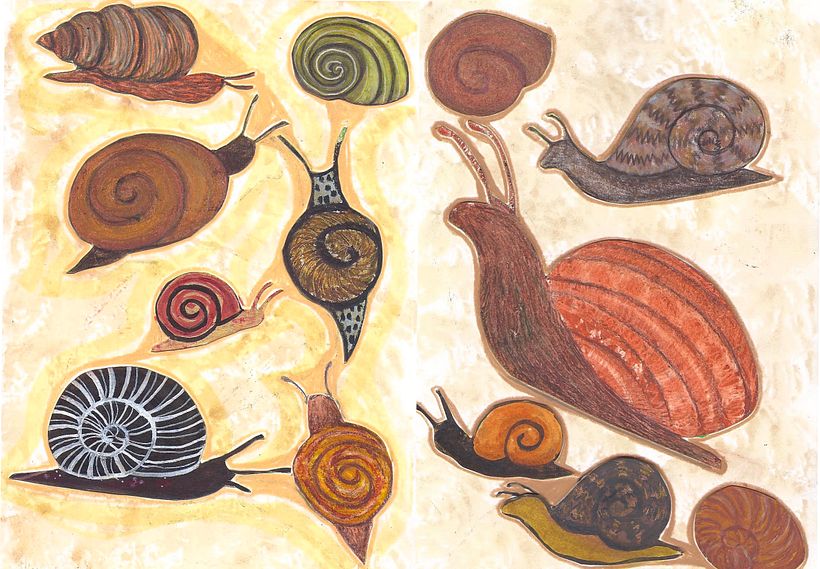 My project in Illustration Techniques to Unlock your Creativity course 12