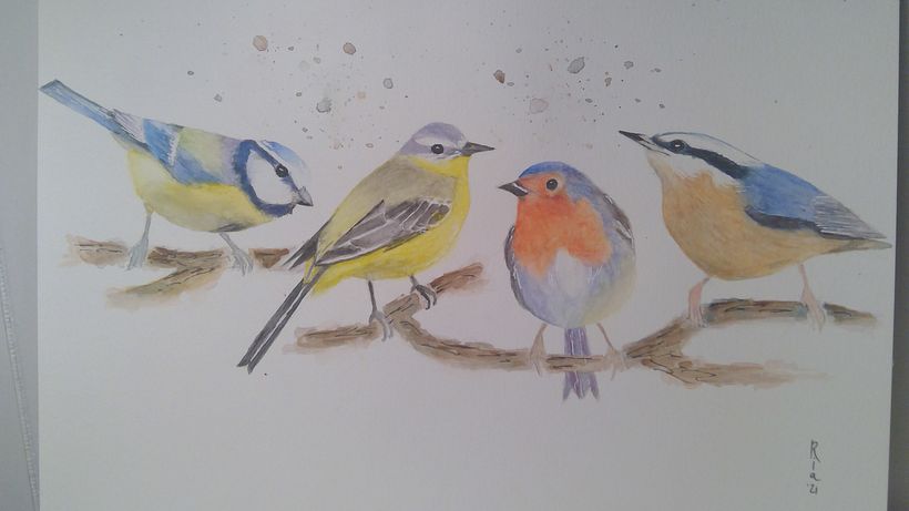 My project in Artistic Watercolor Techniques for Illustrating Birds course 5