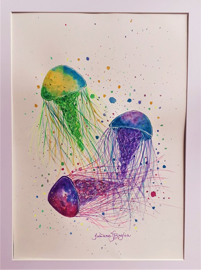 Jellyfish