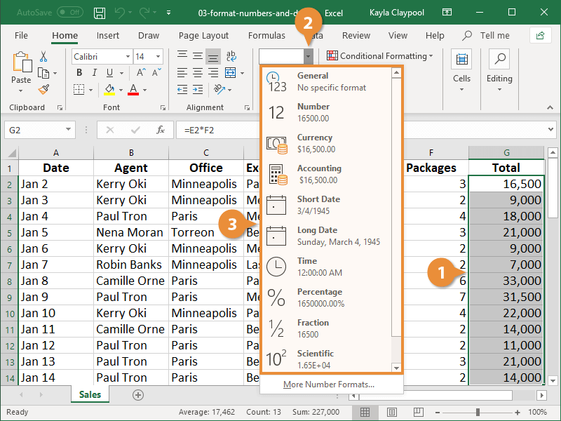 Data format screen in Excel.