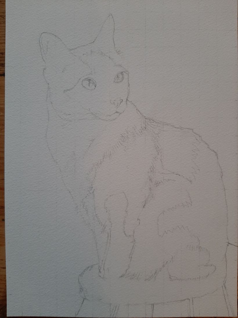 Disegno 