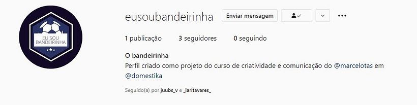 Meu projeto do curso: O Bandeirinha 4