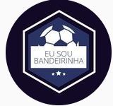 Meu projeto do curso: O Bandeirinha 4