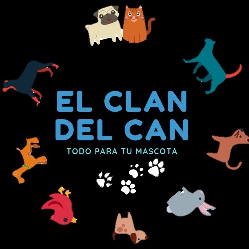 El clan del can, tienda de mascotas. 3