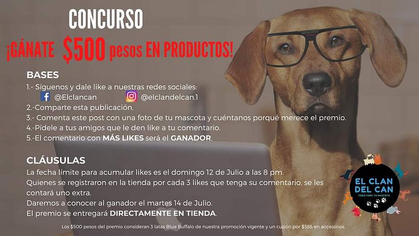 El clan del can, tienda de mascotas. 5