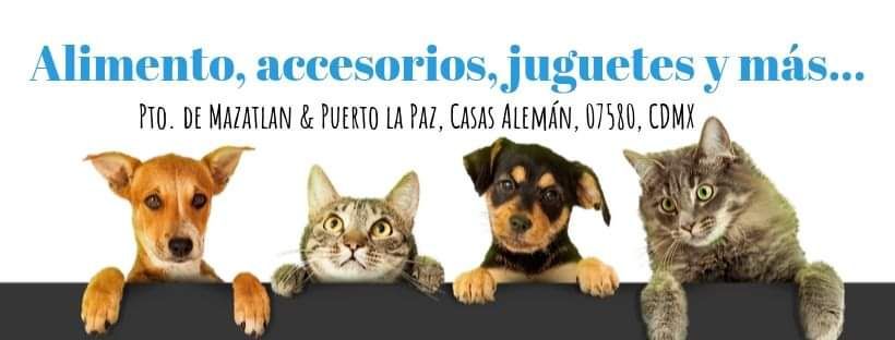 El clan del can, tienda de mascotas. 7